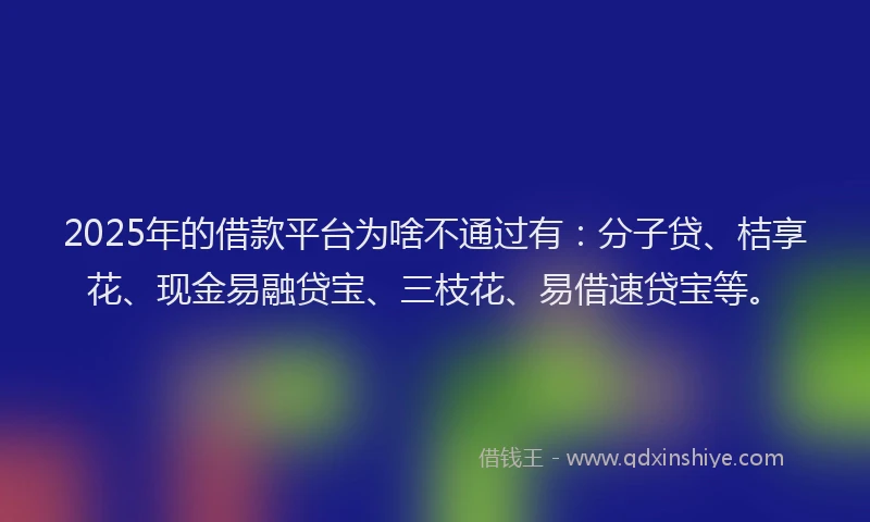 2025年的借款平台为啥不通过有：分子贷、桔享花、现金易融贷宝、三枝花、易借速贷宝等。