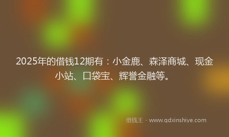 2025年的借钱12期有：小金鹿、森泽商城、现金小站、口袋宝、辉誉金融等。