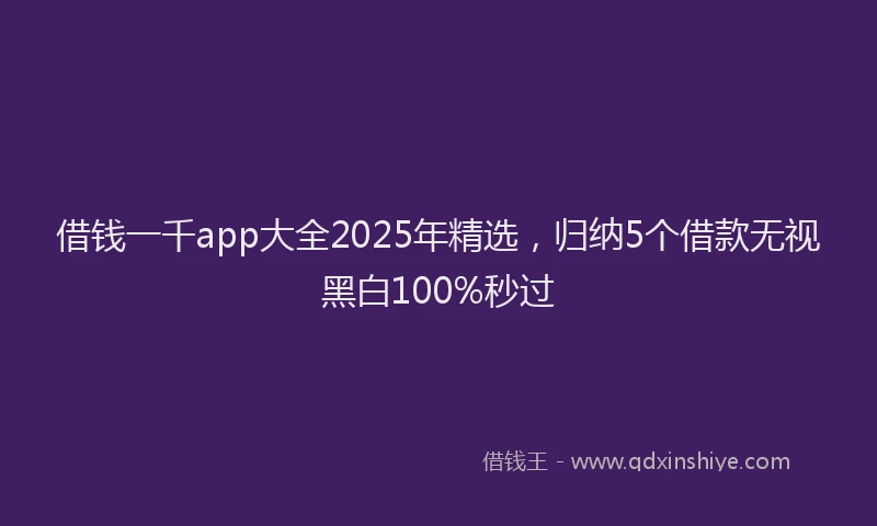 借钱一千app大全2025年精选，归纳5个借款无视黑白100%秒过