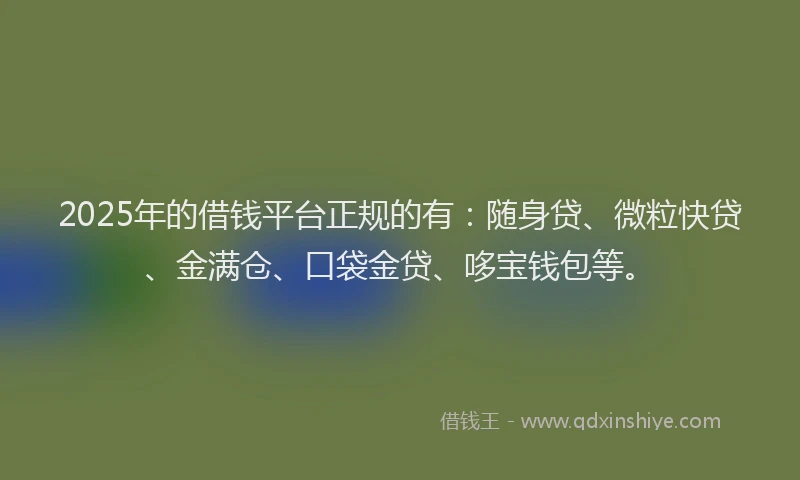 2025年的借钱平台正规的有：随身贷、微粒快贷、金满仓、口袋金贷、哆宝钱包等。