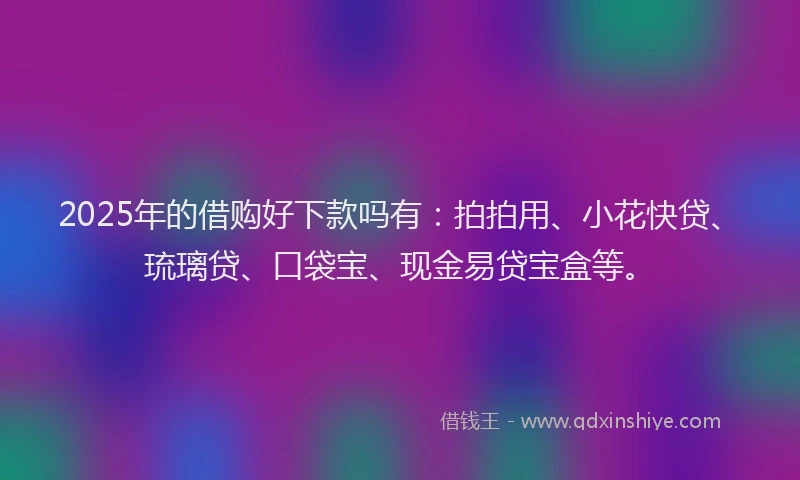 2025年的借购好下款吗有：拍拍用、小花快贷、琉璃贷、口袋宝、现金易贷宝盒等。
