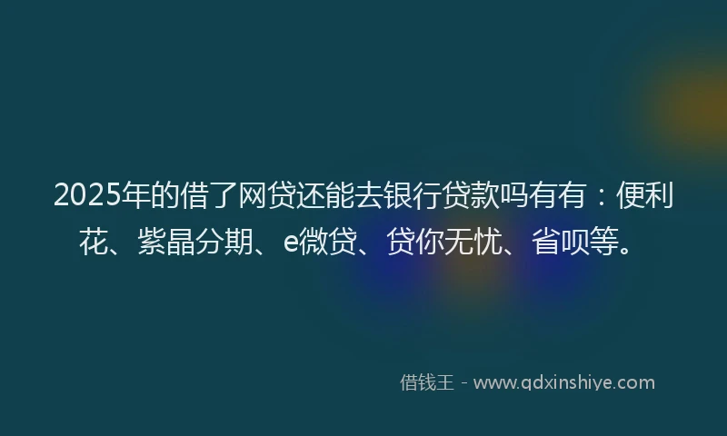 2025年的借了网贷还能去银行贷款吗有有：便利花、紫晶分期、e微贷、贷你无忧、省呗等。