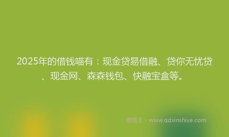 2025年的借钱喵有：现金贷易借融、贷你无忧贷、现金网、森森钱包、快融宝盒等。