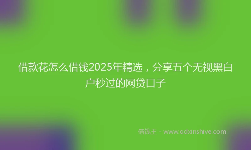 借款花怎么借钱2025年精选，分享五个无视黑白户秒过的网贷口子