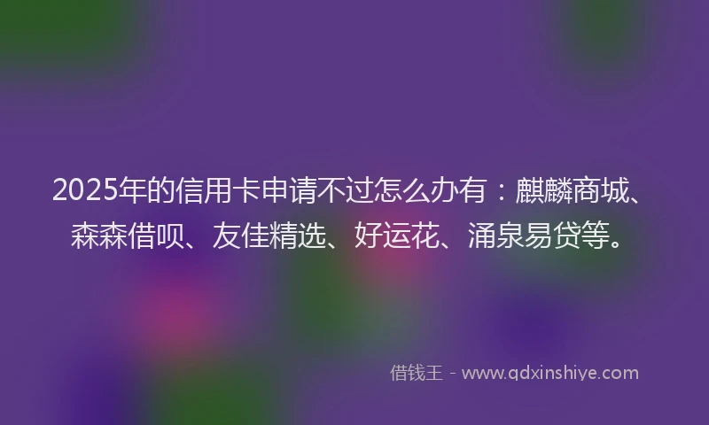 2025年的信用卡申请不过怎么办有：麒麟商城、森森借呗、友佳精选、好运花、涌泉易贷等。