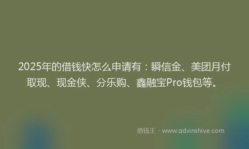 2025年的借钱快怎么申请有：瞬信金、美团月付取现、现金侠、分乐购、鑫融宝Pro钱包等。