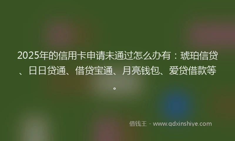 2025年的信用卡申请未通过怎么办有：琥珀信贷、日日贷通、借贷宝通、月亮钱包、爱贷借款等。