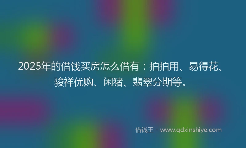 2025年的借钱买房怎么借有：拍拍用、易得花、骏祥优购、闲猪、翡翠分期等。