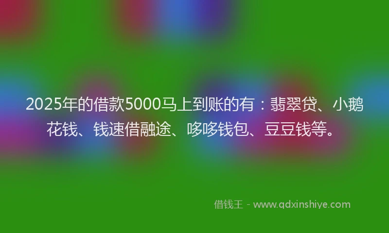 2025年的借款5000马上到账的有：翡翠贷、小鹅花钱、钱速借融途、哆哆钱包、豆豆钱等。