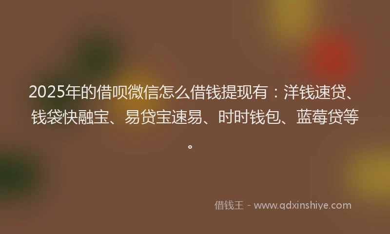 2025年的借呗微信怎么借钱提现有：洋钱速贷、钱袋快融宝、易贷宝速易、时时钱包、蓝莓贷等。