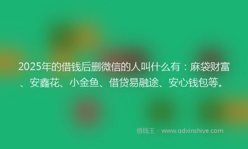 2025年的借钱后删微信的人叫什么有：麻袋财富、安鑫花、小金鱼、借贷易融途、安心钱包等。