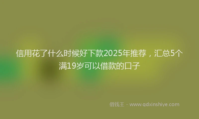 信用花了什么时候好下款2025年推荐，汇总5个满19岁可以借款的口子