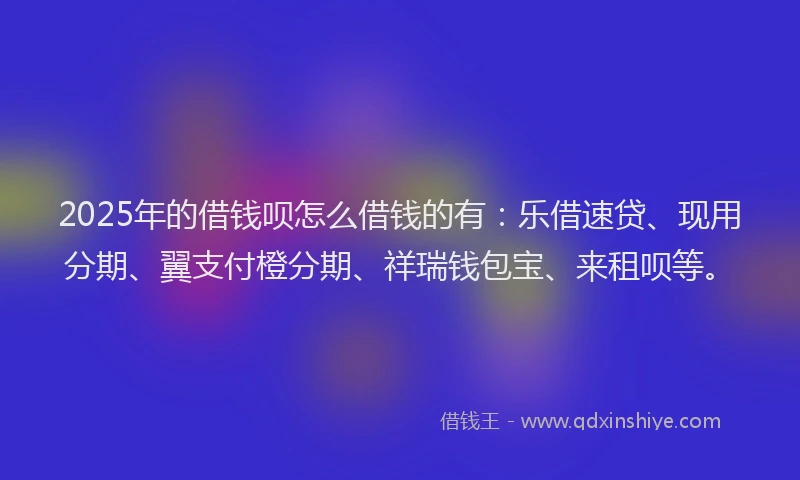 2025年的借钱呗怎么借钱的有：乐借速贷、现用分期、翼支付橙分期、祥瑞钱包宝、来租呗等。