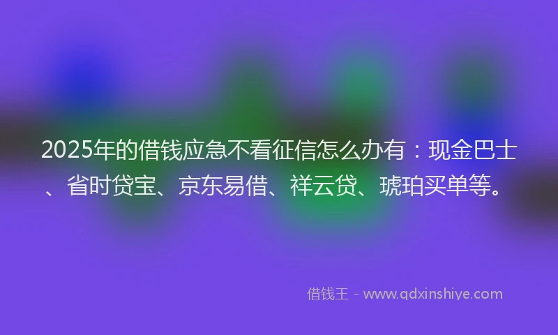 2025年的借钱应急不看征信怎么办有：现金巴士、省时贷宝、京东易借、祥云贷、琥珀买单等。