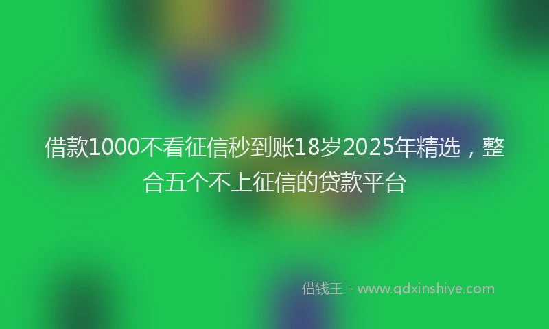 借款1000不看征信秒到账18岁2025年精选，整合五个不上征信的贷款平台