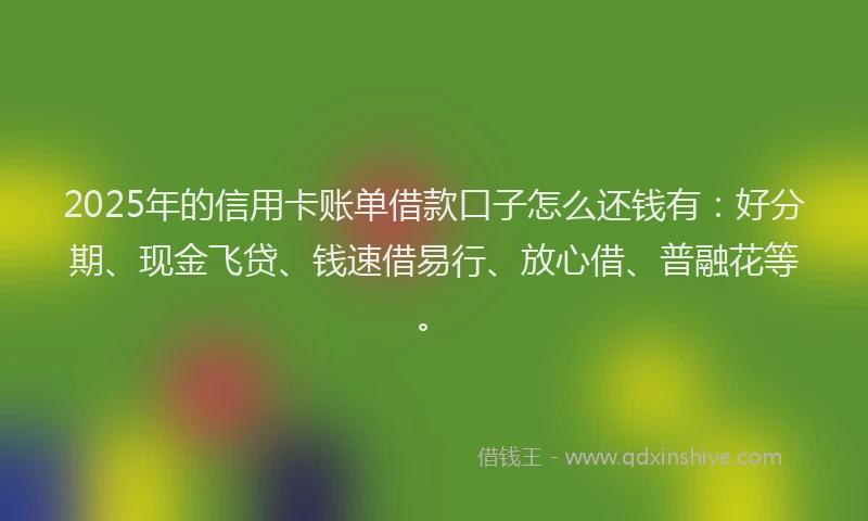 2025年的信用卡账单借款口子怎么还钱有：好分期、现金飞贷、钱速借易行、放心借、普融花等。