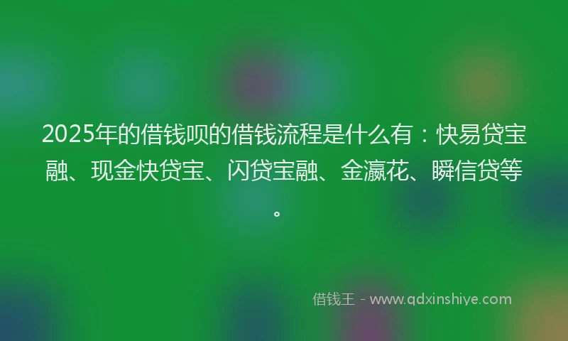 2025年的借钱呗的借钱流程是什么有：快易贷宝融、现金快贷宝、闪贷宝融、金瀛花、瞬信贷等。