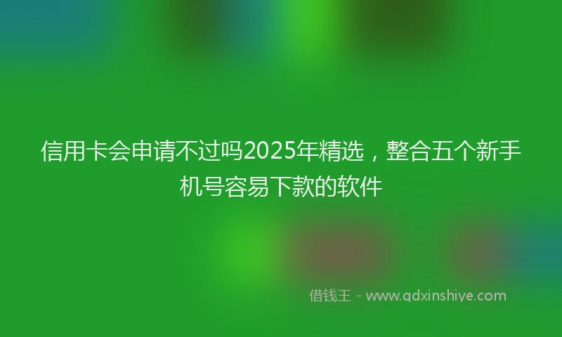 信用卡会申请不过吗2025年精选，整合五个新手机号容易下款的软件