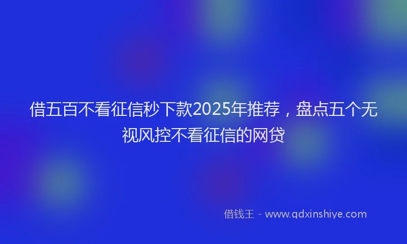 借五百不看征信秒下款2025年推荐，盘点五个无视风控不看征信的网贷