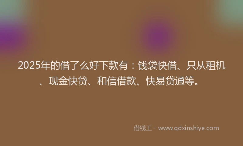 2025年的借了么好下款有：钱袋快借、只从租机、现金快贷、和信借款、快易贷通等。