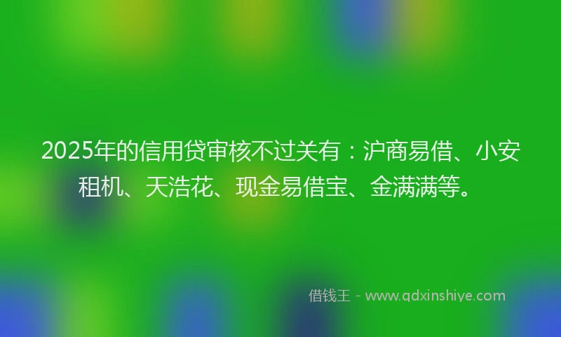 2025年的信用贷审核不过关有：沪商易借、小安租机、天浩花、现金易借宝、金满满等。