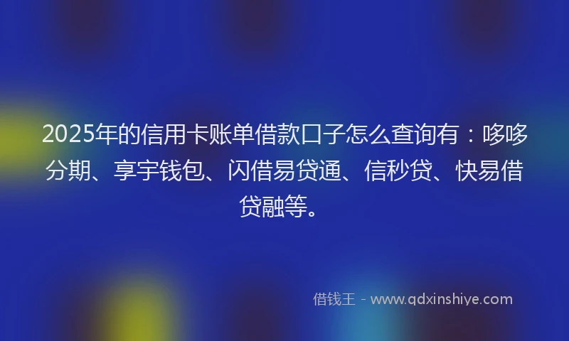 2025年的信用卡账单借款口子怎么查询有：哆哆分期、享宇钱包、闪借易贷通、信秒贷、快易借贷融等。