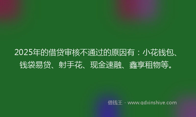 2025年的借贷审核不通过的原因有：小花钱包、钱袋易贷、射手花、现金速融、鑫享租物等。