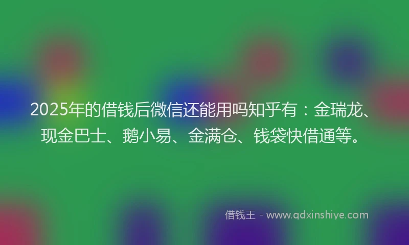 2025年的借钱后微信还能用吗知乎有：金瑞龙、现金巴士、鹅小易、金满仓、钱袋快借通等。