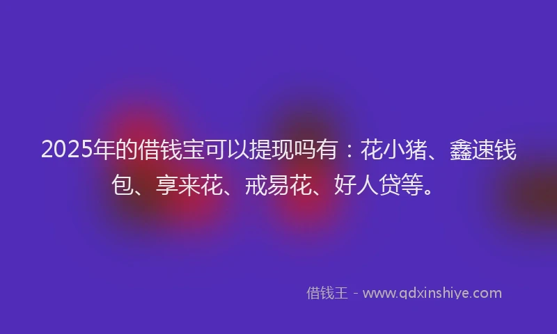 2025年的借钱宝可以提现吗有：花小猪、鑫速钱包、享来花、戒易花、好人贷等。