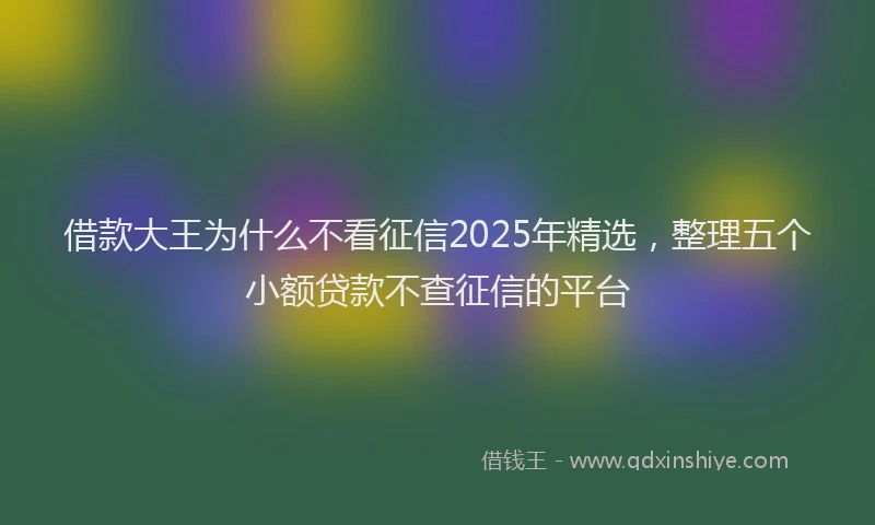 借款大王为什么不看征信2025年精选，整理五个小额贷款不查征信的平台