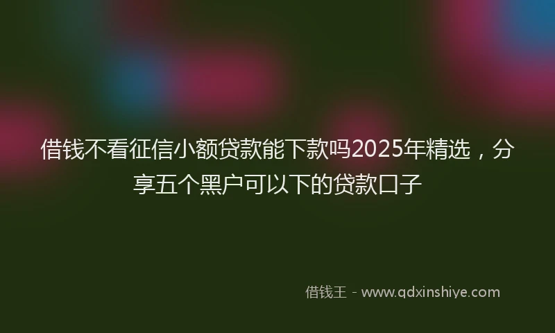 借钱不看征信小额贷款能下款吗2025年精选,分享五个黑户可以下的贷款口子