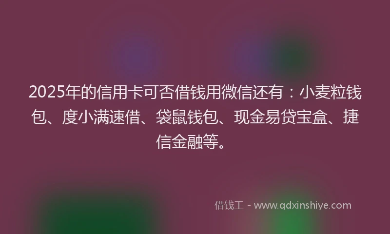 2025年的信用卡可否借钱用微信还有：小麦粒钱包、度小满速借、袋鼠钱包、现金易贷宝盒、捷信金融等。