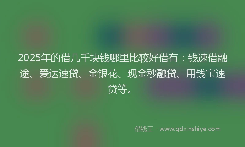 2025年的借几千块钱哪里比较好借有：钱速借融途、爱达速贷、金银花、现金秒融贷、用钱宝速贷等。