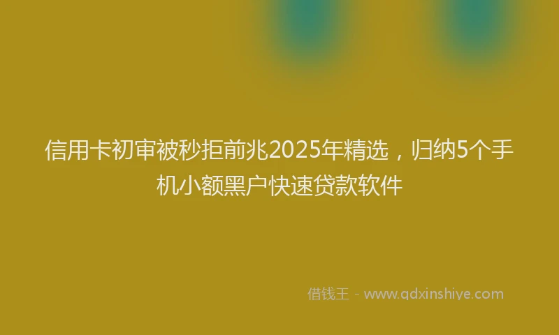 信用卡初审被秒拒前兆2025年精选，归纳5个手机小额黑户快速贷款软件