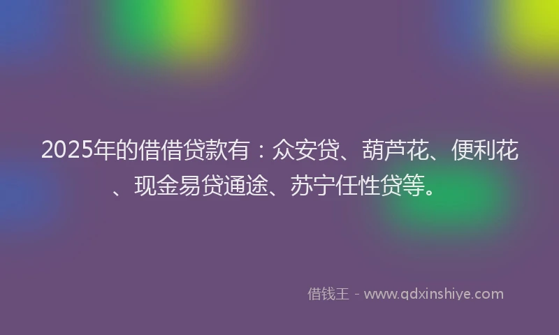 2025年的借借贷款有：众安贷、葫芦花、便利花、现金易贷通途、苏宁任性贷等。