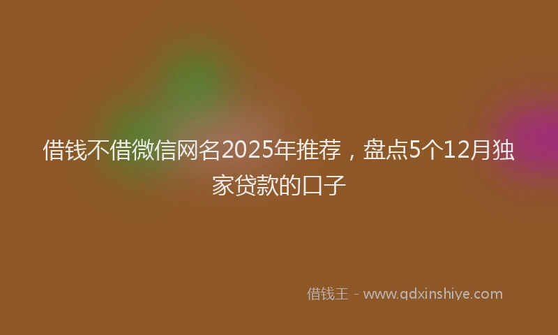 借钱不借微信网名2025年推荐，盘点5个12月独家贷款的口子