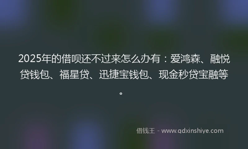 2025年的借呗还不过来怎么办有：爱鸿森、融悦贷钱包、福星贷、迅捷宝钱包、现金秒贷宝融等。