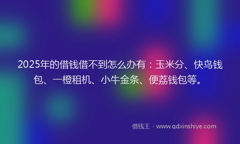 2025年的借钱借不到怎么办有：玉米分、快鸟钱包、一橙租机、小牛金条、便荔钱包等。