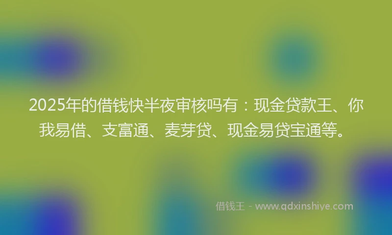2025年的借钱快半夜审核吗有：现金贷款王、你我易借、支富通、麦芽贷、现金易贷宝通等。