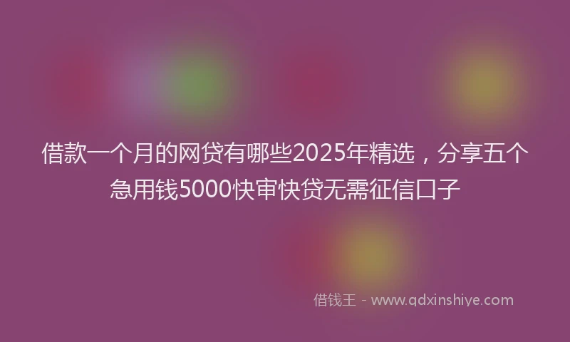 借款一个月的网贷有哪些2025年精选，分享五个急用钱5000快审快贷无需征信口子