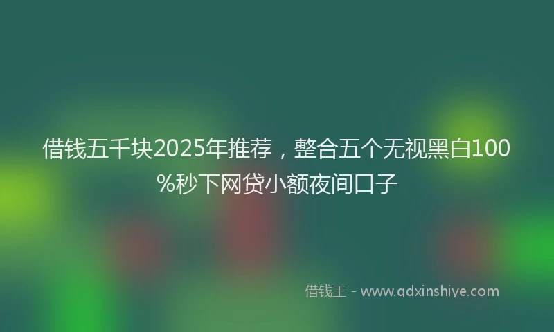 借钱五千块2025年推荐,整合五个无视黑白100%秒下网贷小额夜间口子