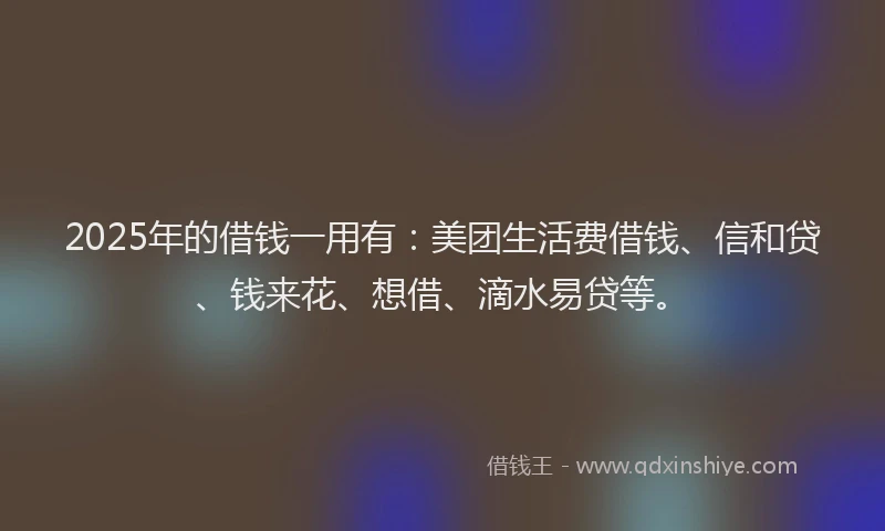 2025年的借钱一用有：美团生活费借钱、信和贷、钱来花、想借、滴水易贷等。