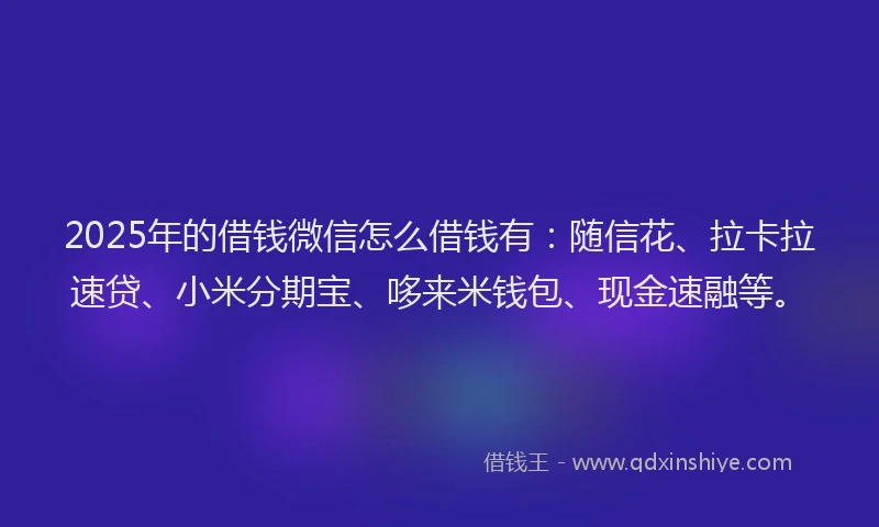 2025年的借钱微信怎么借钱有：随信花、拉卡拉速贷、小米分期宝、哆来米钱包、现金速融等。