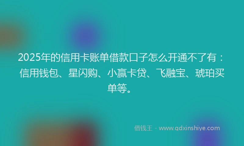 2025年的信用卡账单借款口子怎么开通不了有：信用钱包、星闪购、小赢卡贷、飞融宝、琥珀买单等。