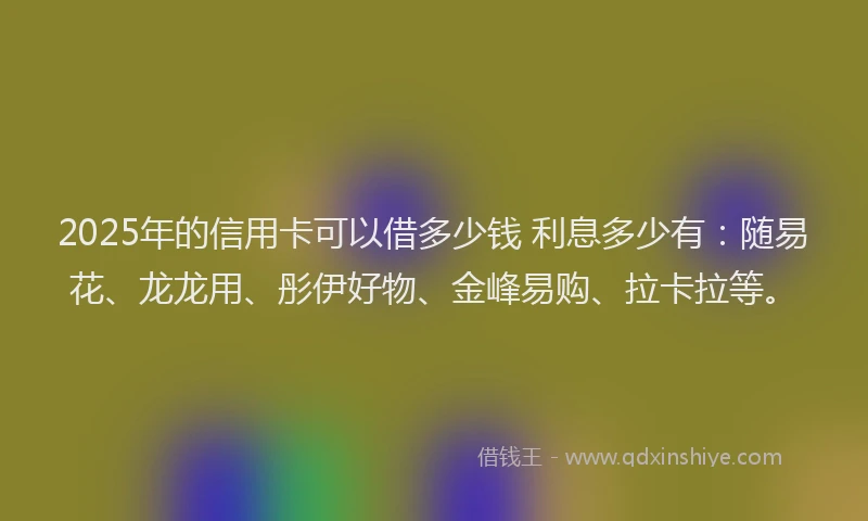 2025年的信用卡可以借多少钱 利息多少有：随易花、龙龙用、彤伊好物、金峰易购、拉卡拉等。