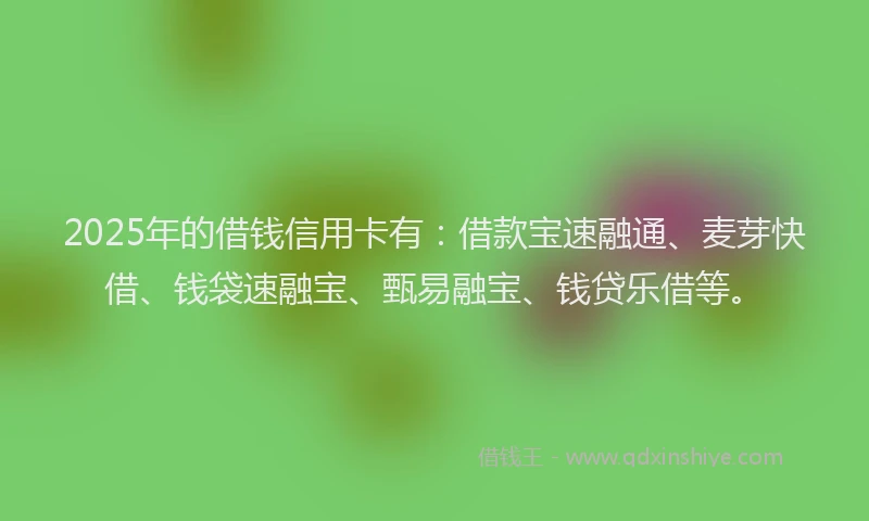 2025年的借钱信用卡有：借款宝速融通、麦芽快借、钱袋速融宝、甄易融宝、钱贷乐借等。