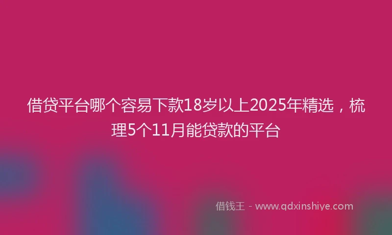 借贷平台哪个容易下款18岁以上2025年精选，梳理5个11月能贷款的平台
