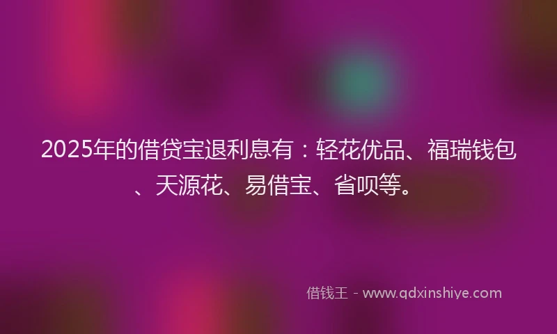 2025年的借贷宝退利息有：轻花优品、福瑞钱包、天源花、易借宝、省呗等。