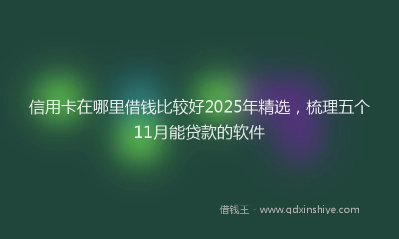 信用卡在哪里借钱比较好2025年精选，梳理五个11月能贷款的软件