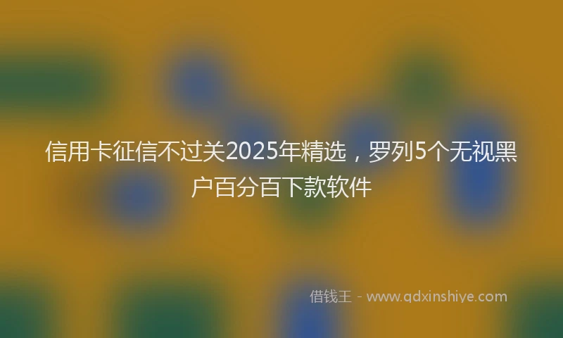 信用卡征信不过关2025年精选，罗列5个无视黑户百分百下款软件